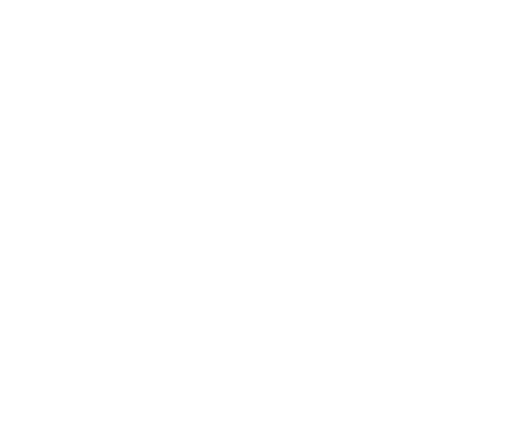 The YMCA