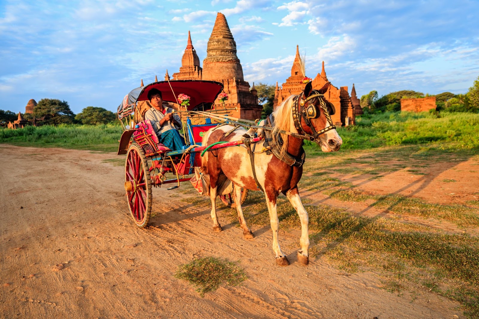 Horsecart in Bagan