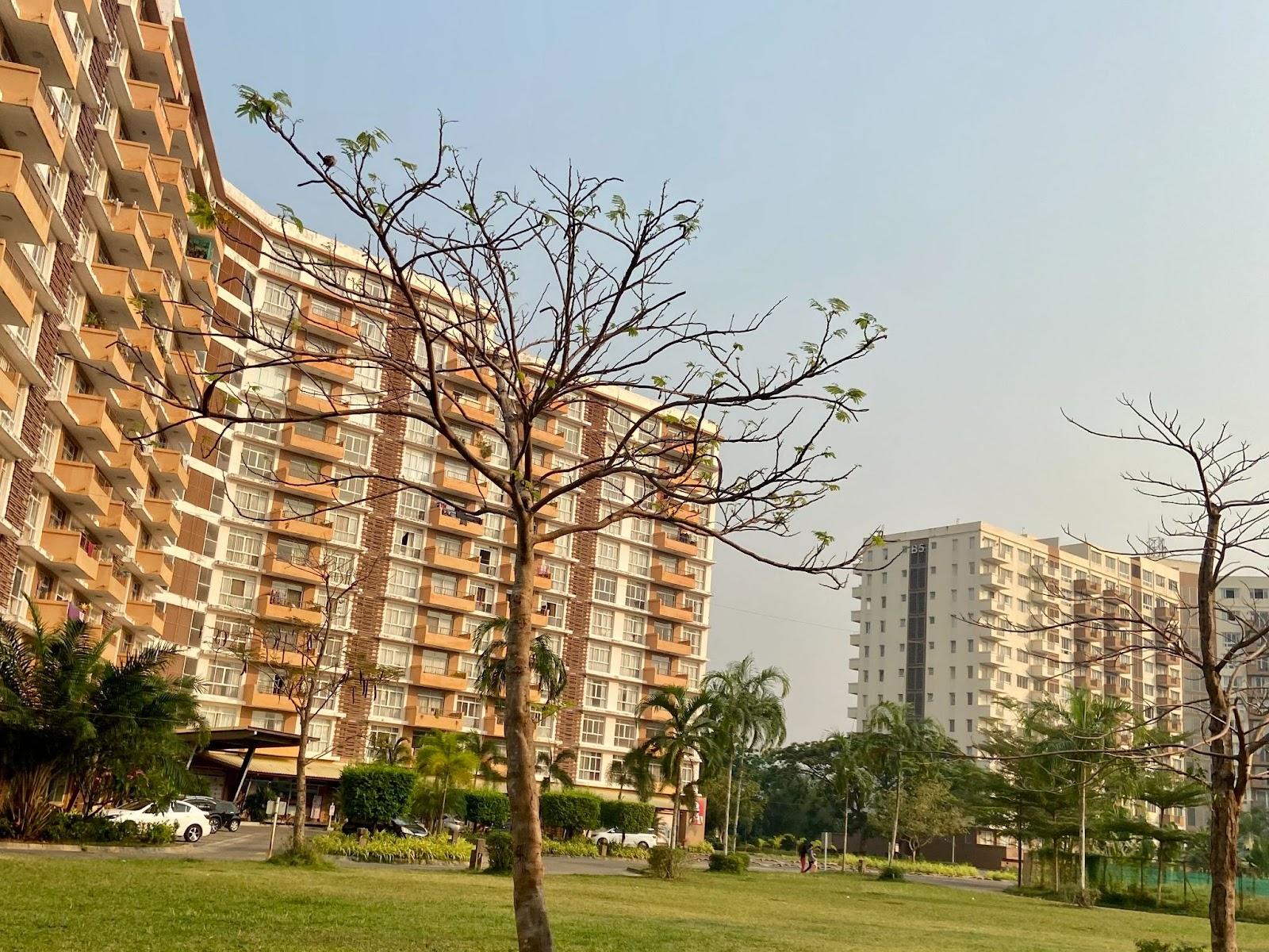 Ultimate Guide to Taking Star Ferry Yangon