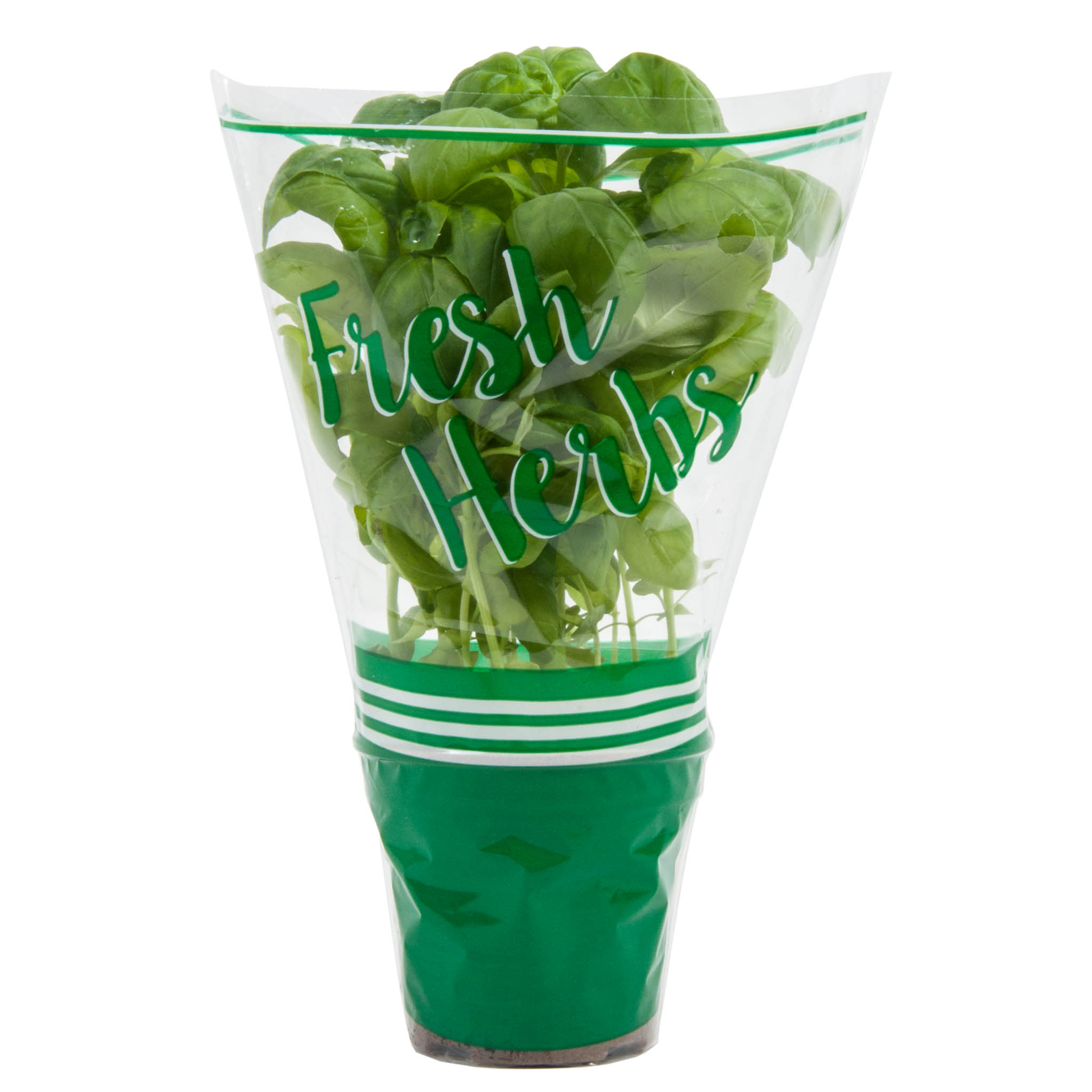 Potted Herb AROO Company