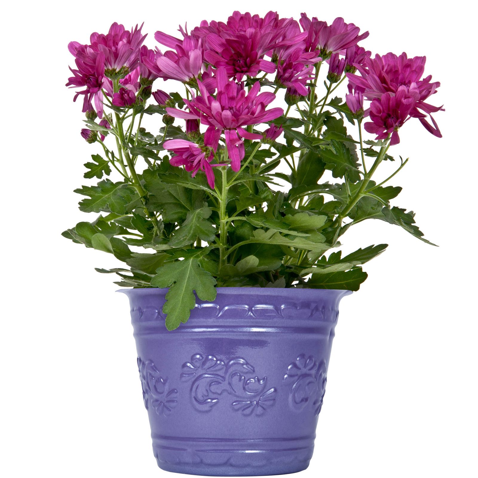 Pot Covers and Over Pots from A·ROO Company