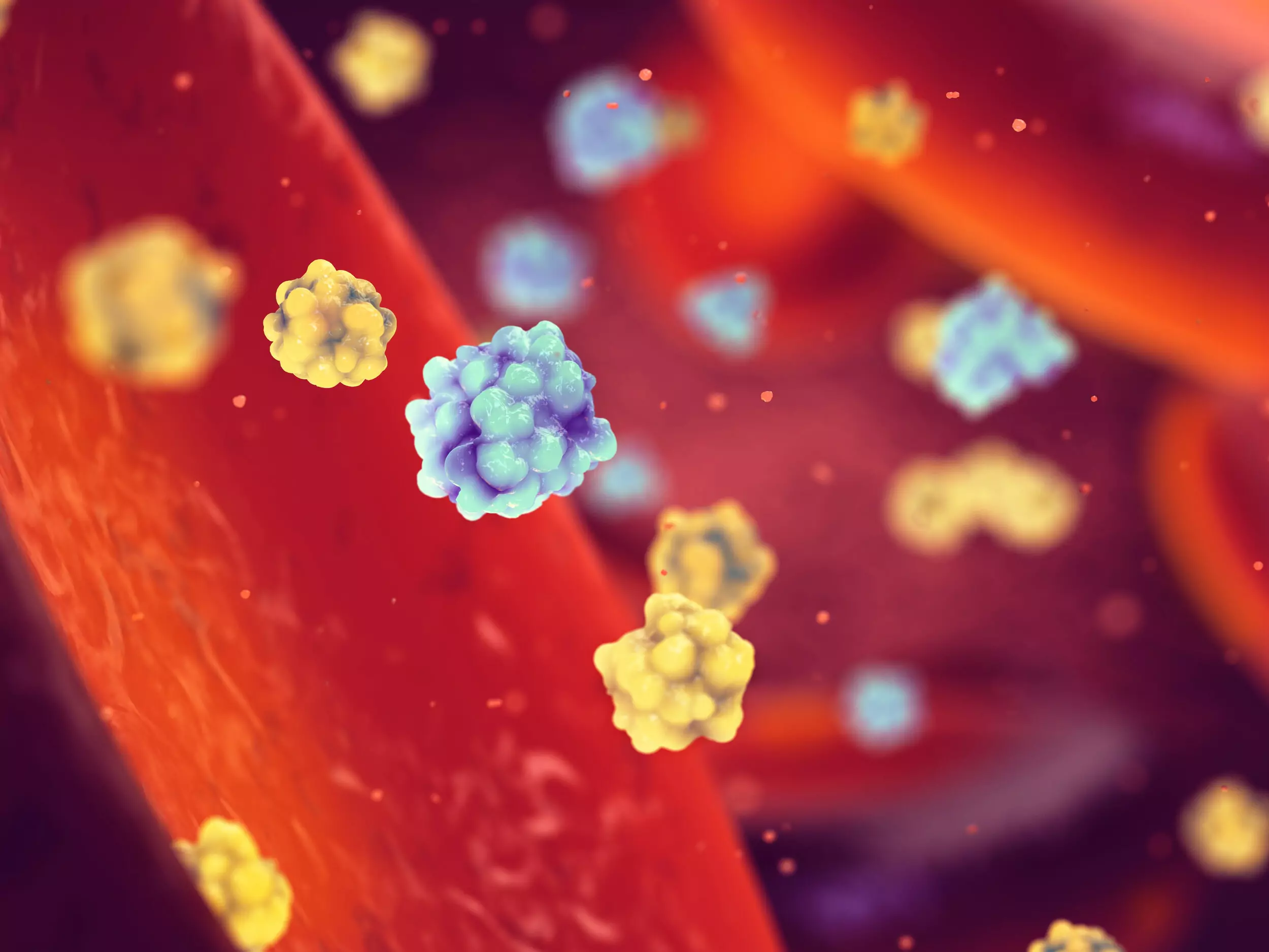 sucrose in blood stream under a microscope