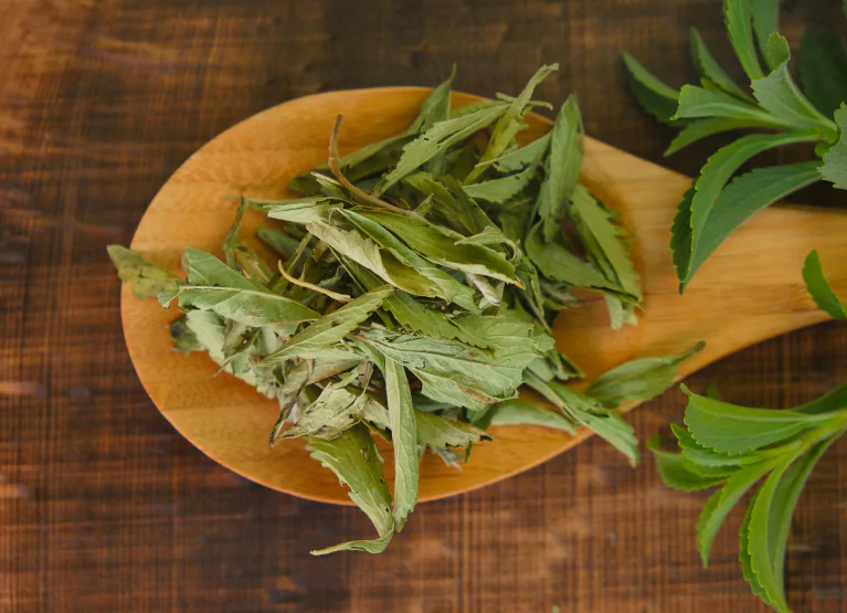 Stevia leaves on wooden spoon