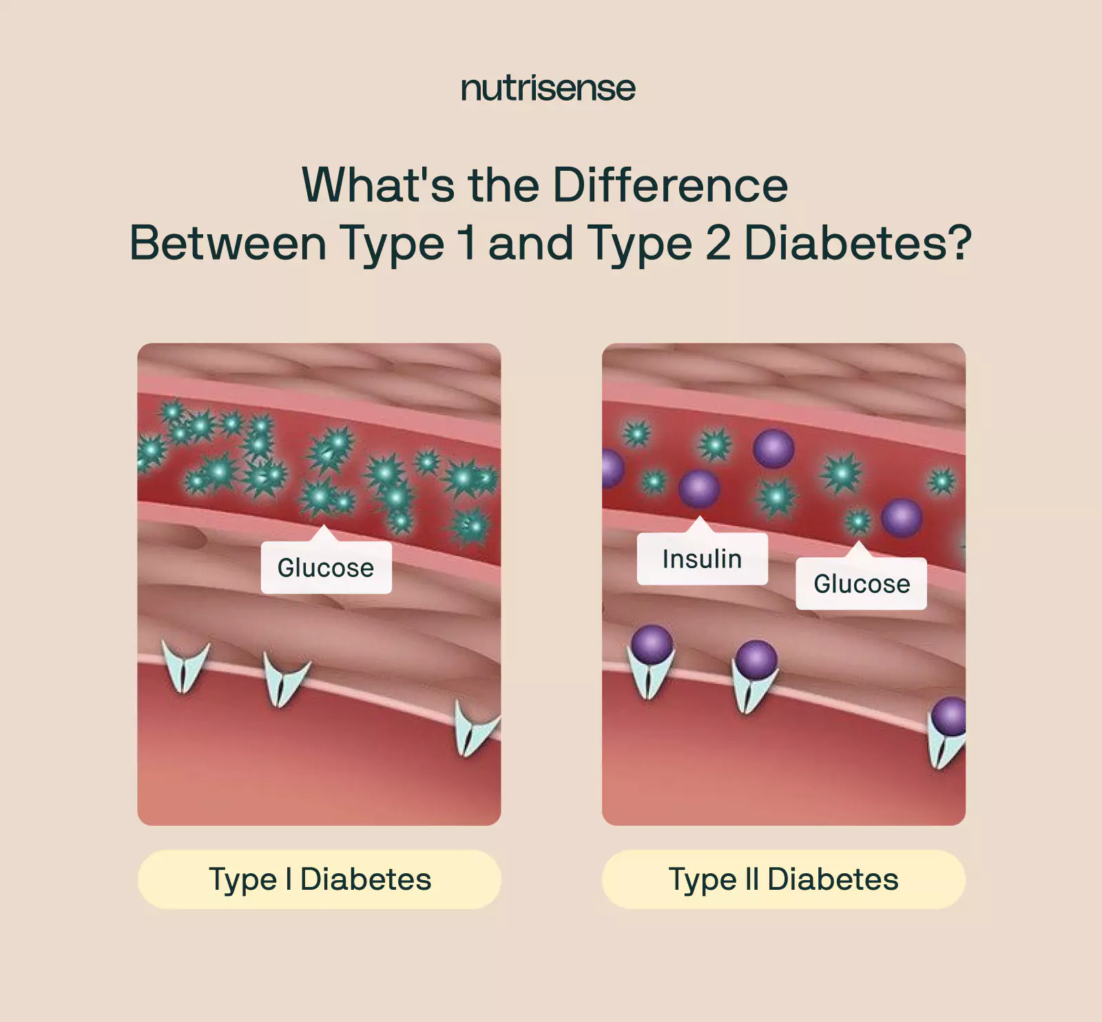 diabetes chart