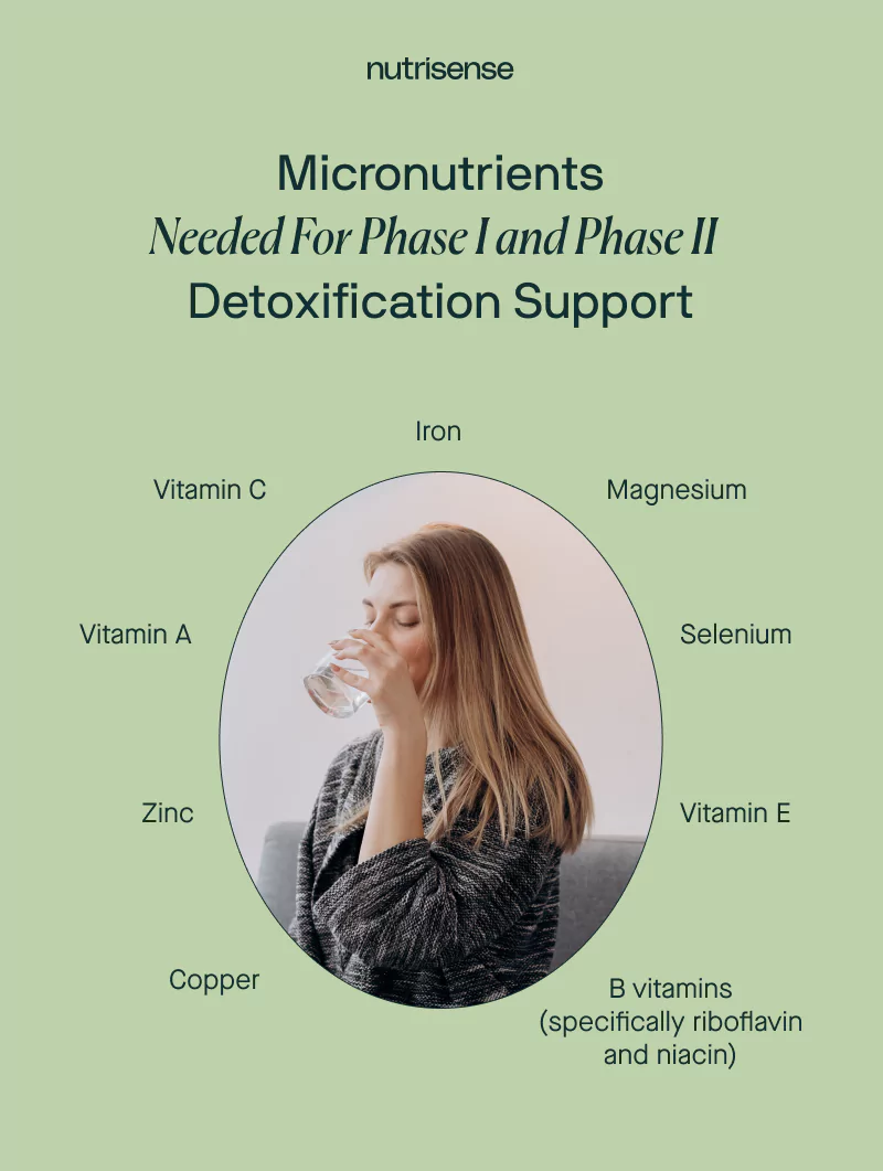 Micronutrients Needed for Phase I and Phase II Detoxification Support