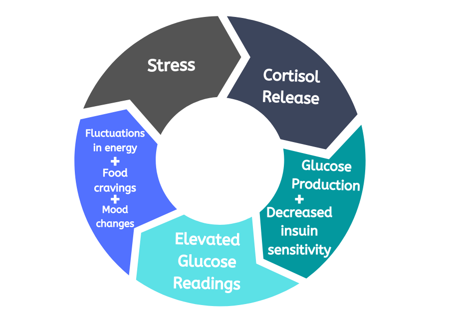 a donut diagram showing stress, cortisol and glucose dependencies