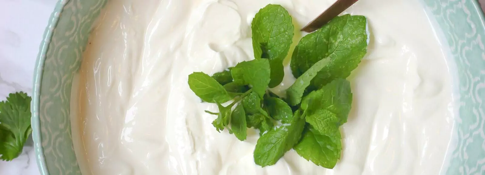 a bowl of yogurt