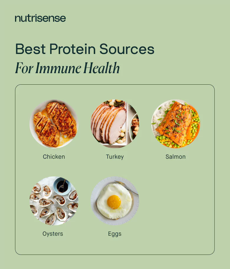 best protein sources for immune health