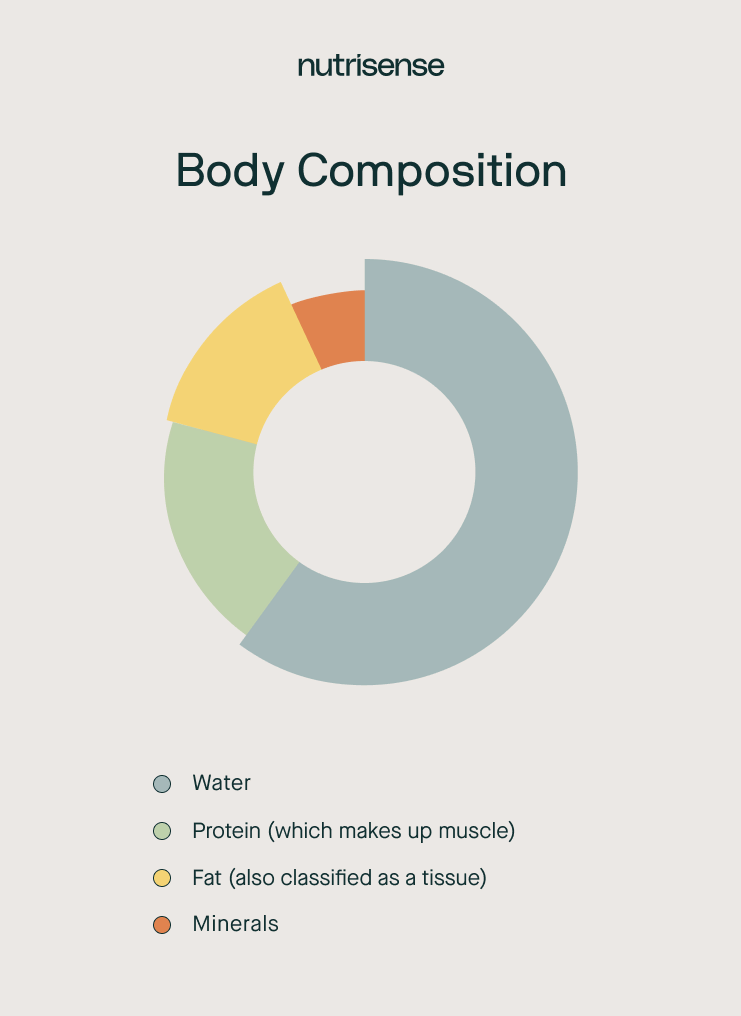 a chart displaying body composition