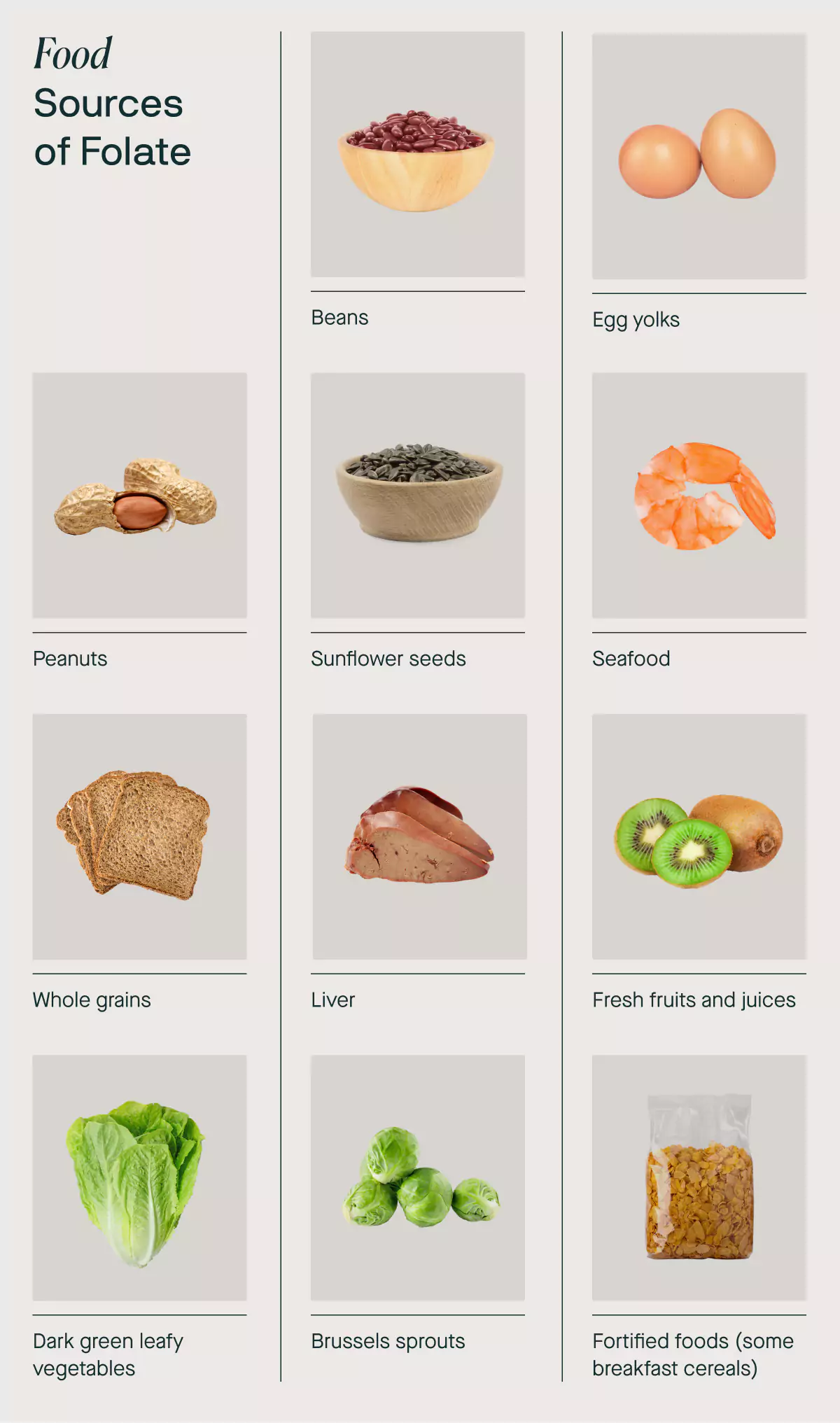 a list of food sources of folate