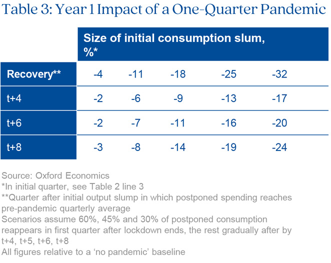 Chart highlighting year 1 impact of a one-quarter pandemic