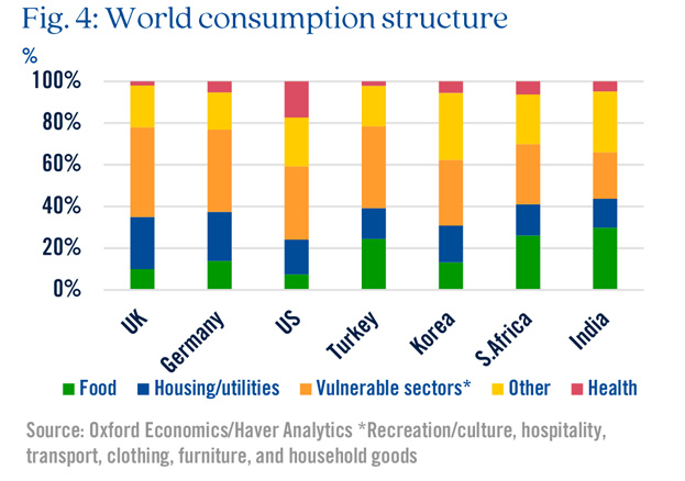 Chart highlighting world consumption structure