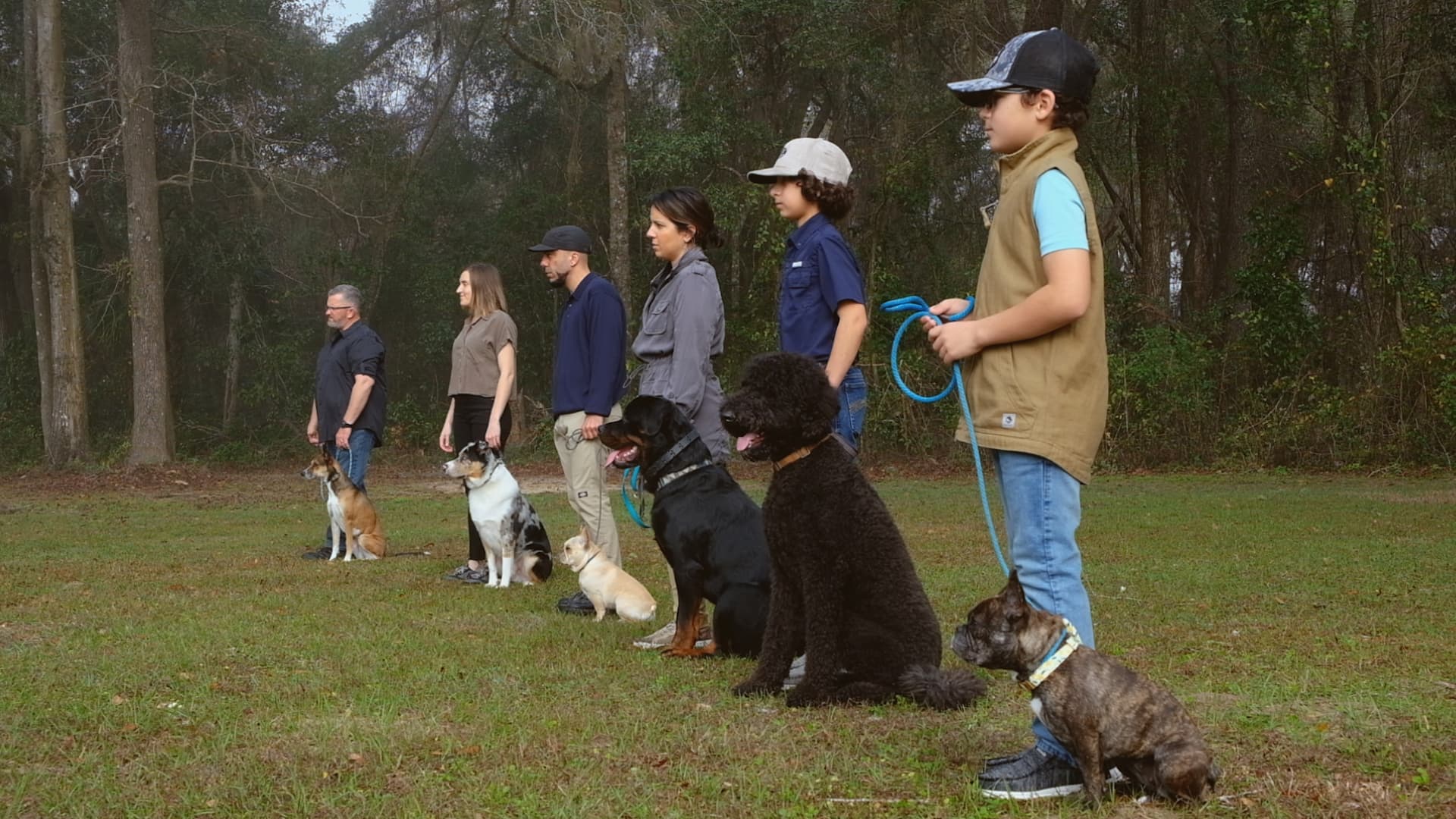 Video preview of trainer