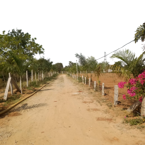 Nandi Farms Phase I Buy Agricultural Land for Sale Near Bangalore