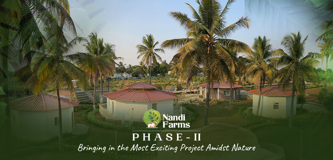 Nandi Farms Phase II Buy Agriculture Land For Sale Near Bangalore