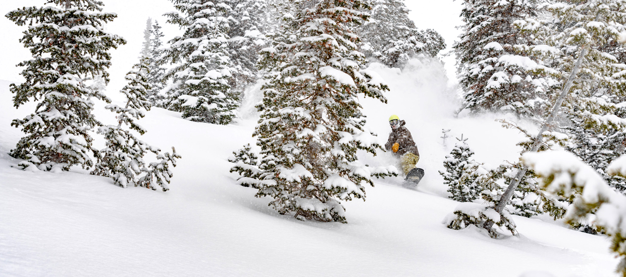 Powder Mountain Season Spot Insurance
