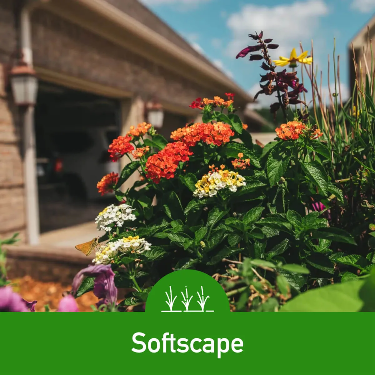 Olive Branch Landscape