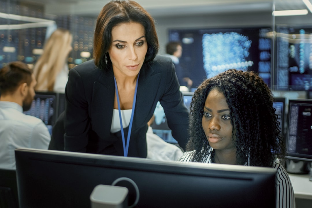 Two colleagues looking at important government information on a computer screen