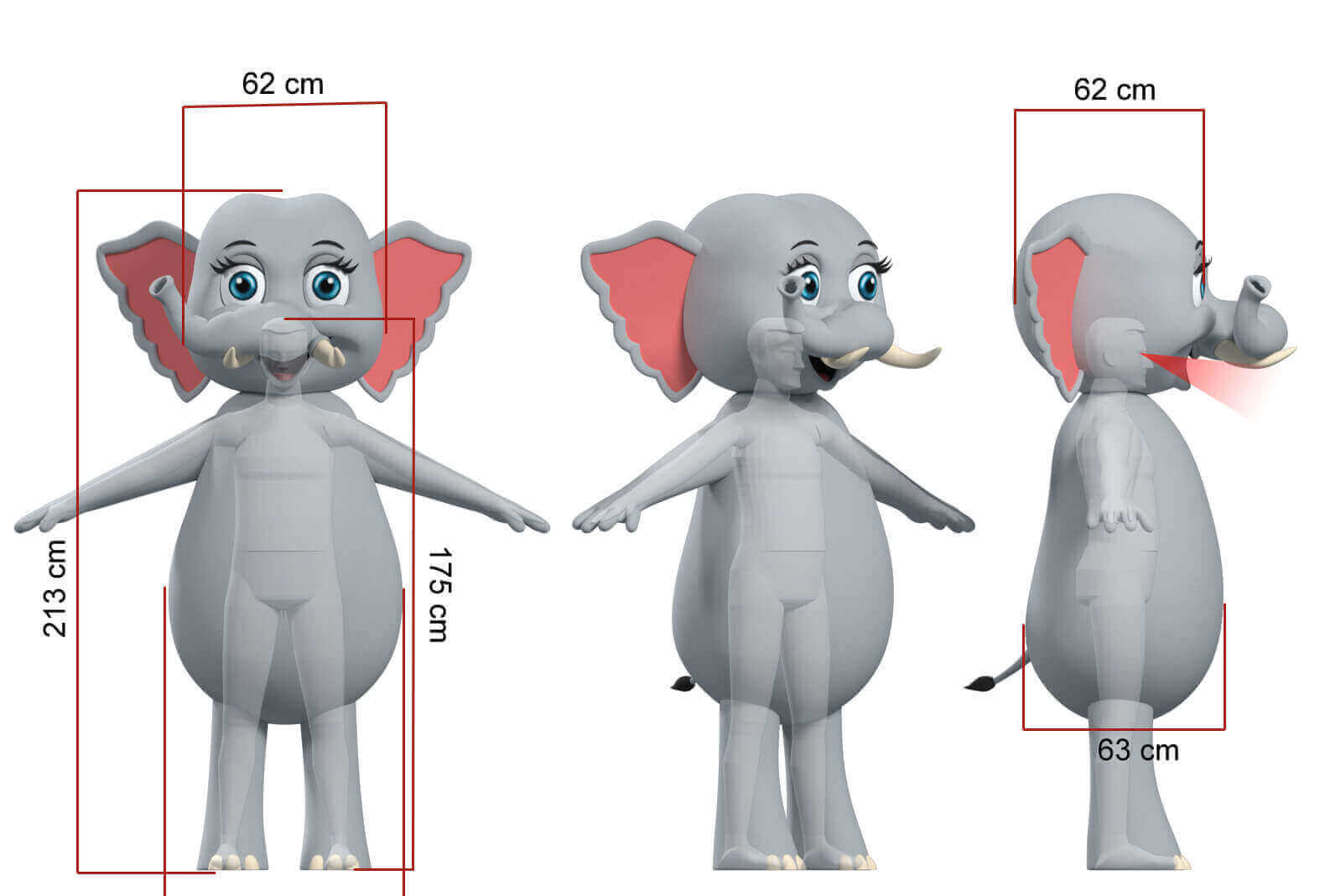 Process - Mascots Inc