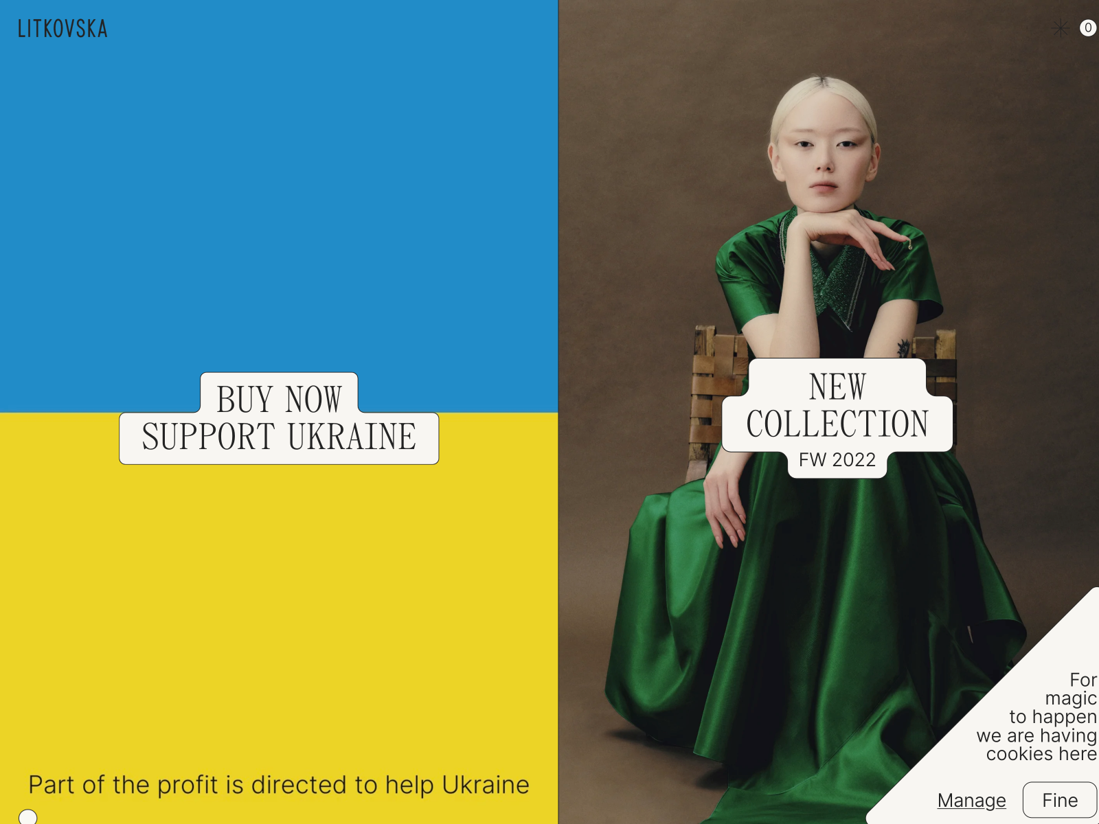 ecommerce-design-awards-winners-litkovskaya