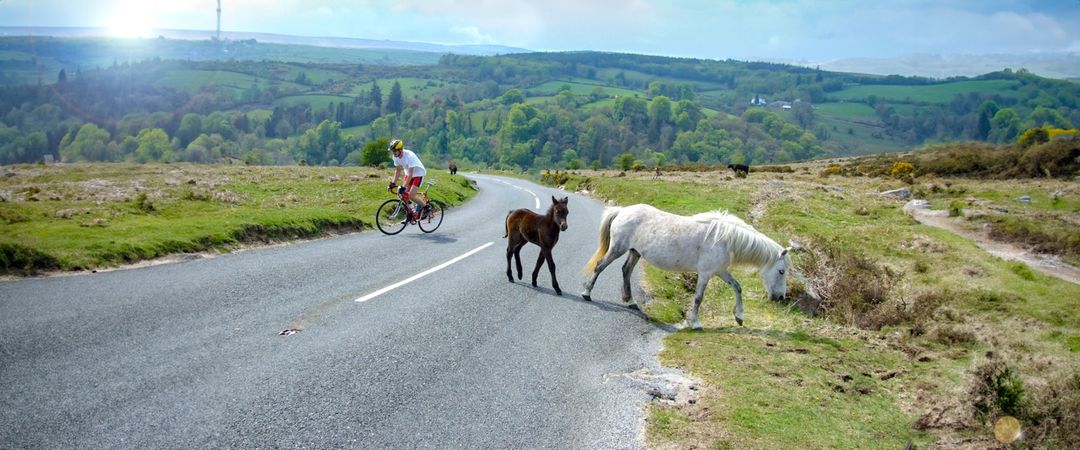 dartmoor sportive