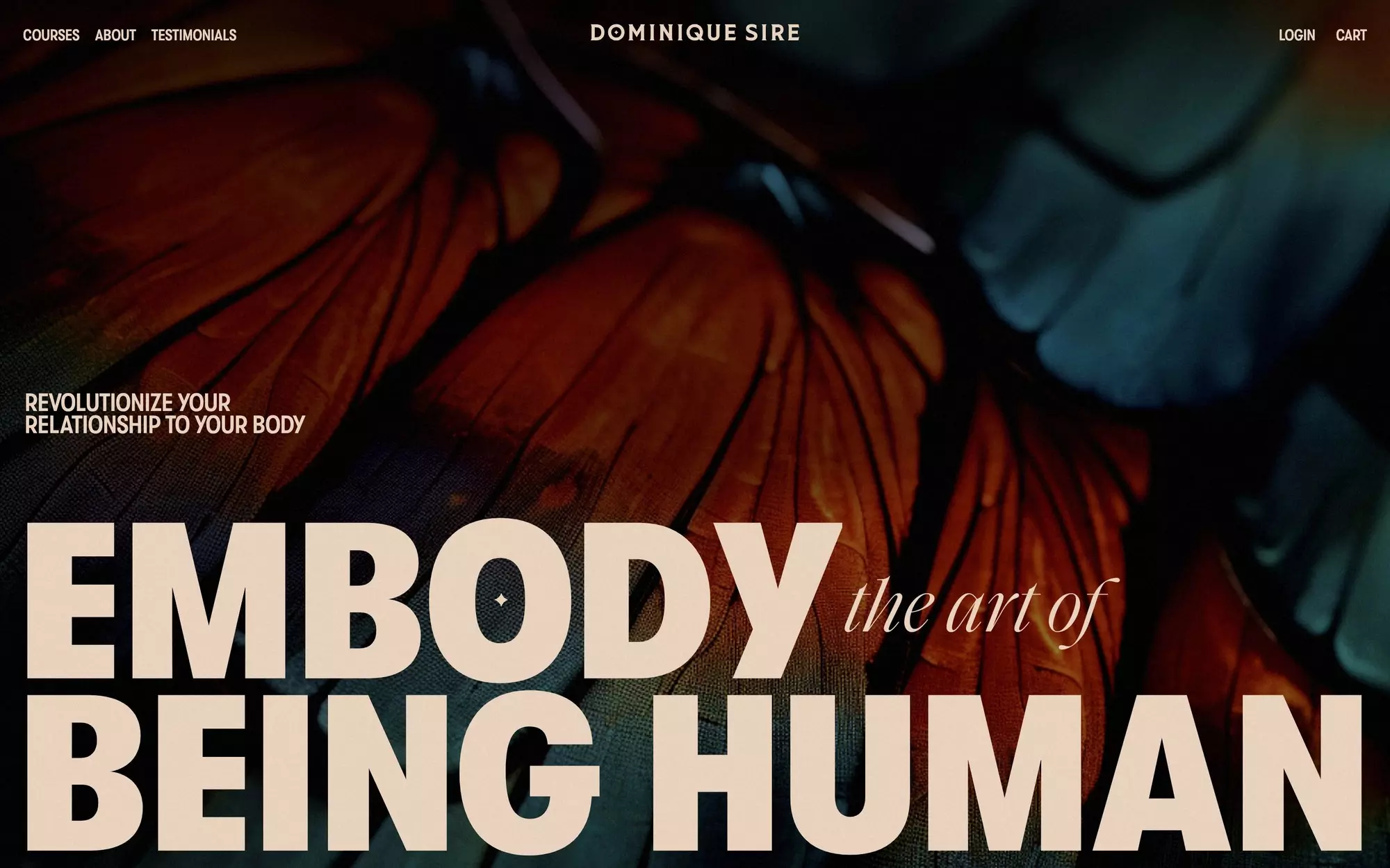 Freelance Things [Directory] No-Code Supply Co.