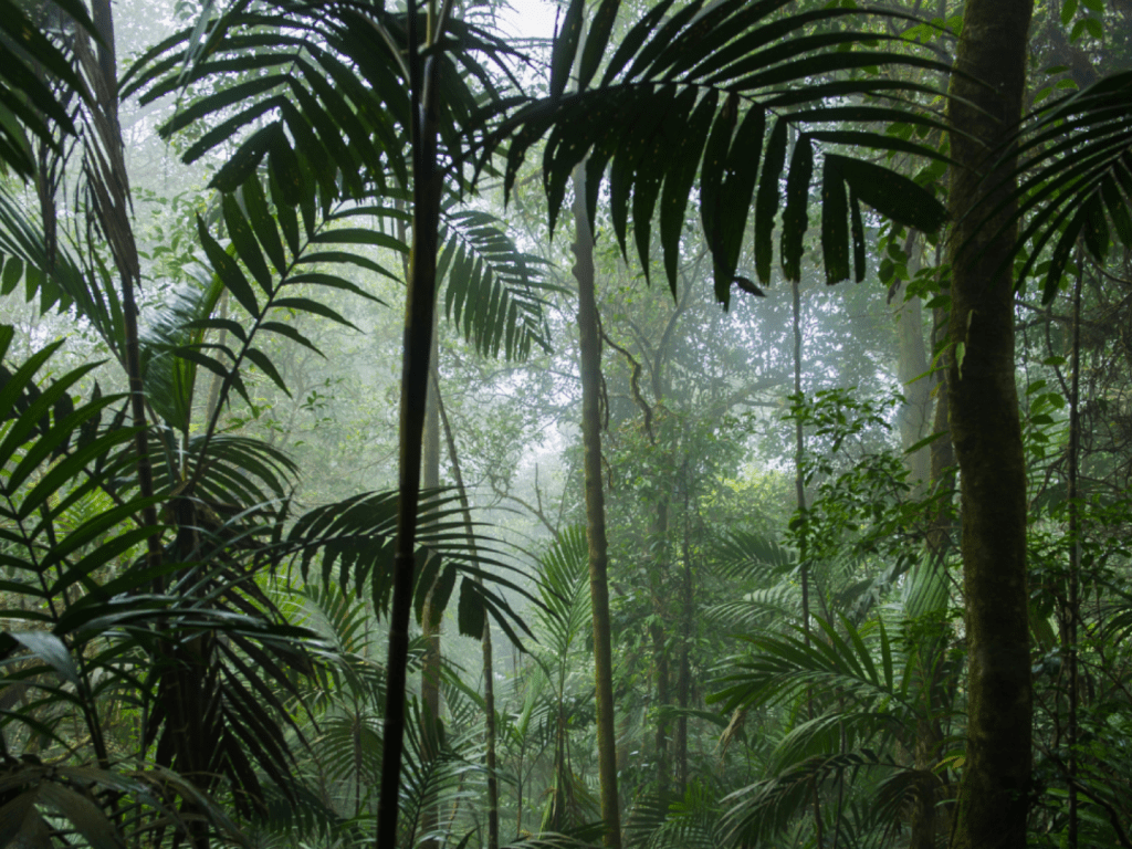 AO2 Management | Philanthropy Case Studies