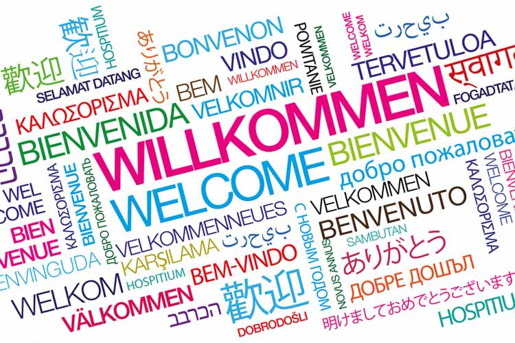 WELCOME TO GERMANY visual data 2