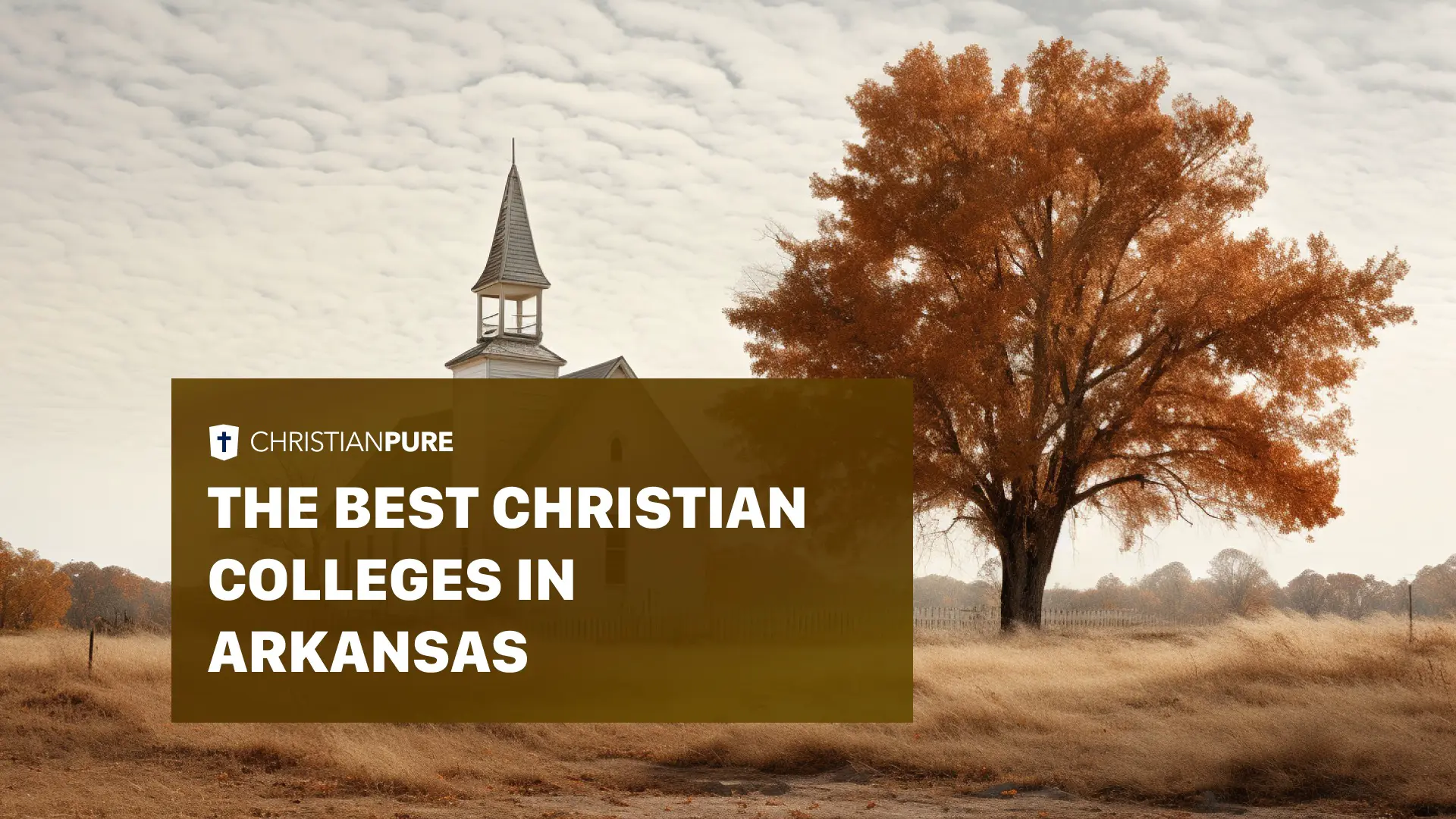 The Best Christian Colleges in Arkansas to Anchor your faithfulness.