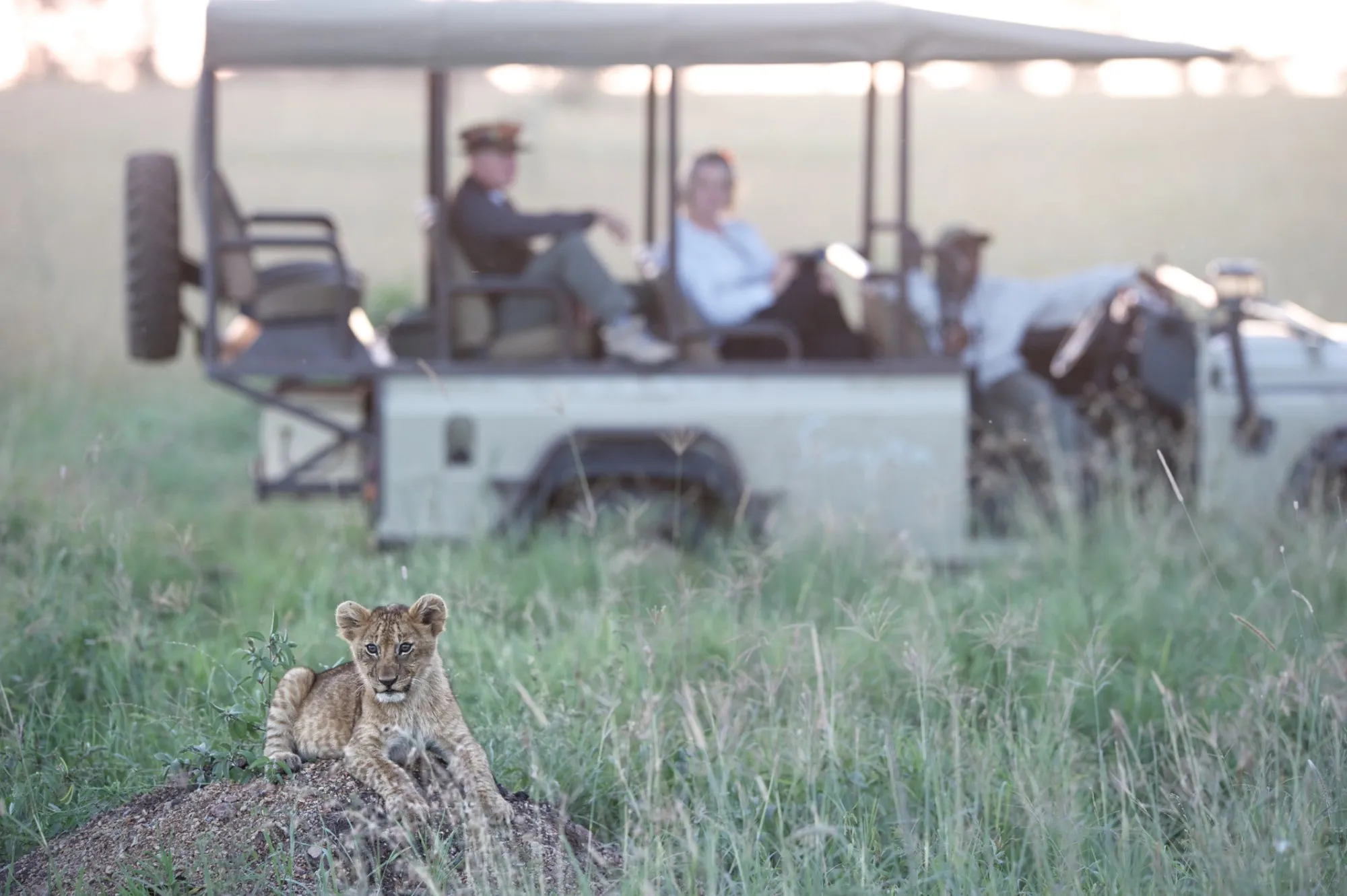 Luxury Safaris Luxury African Safari