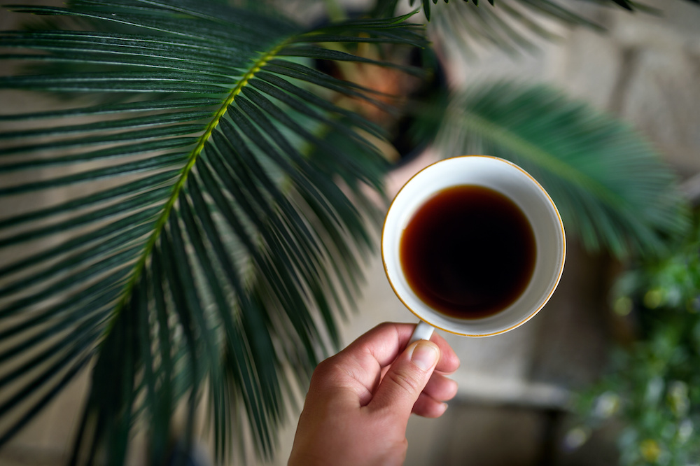 6 Sustainable Coffee Brands for the EcoConscious Consumer The Momentum
