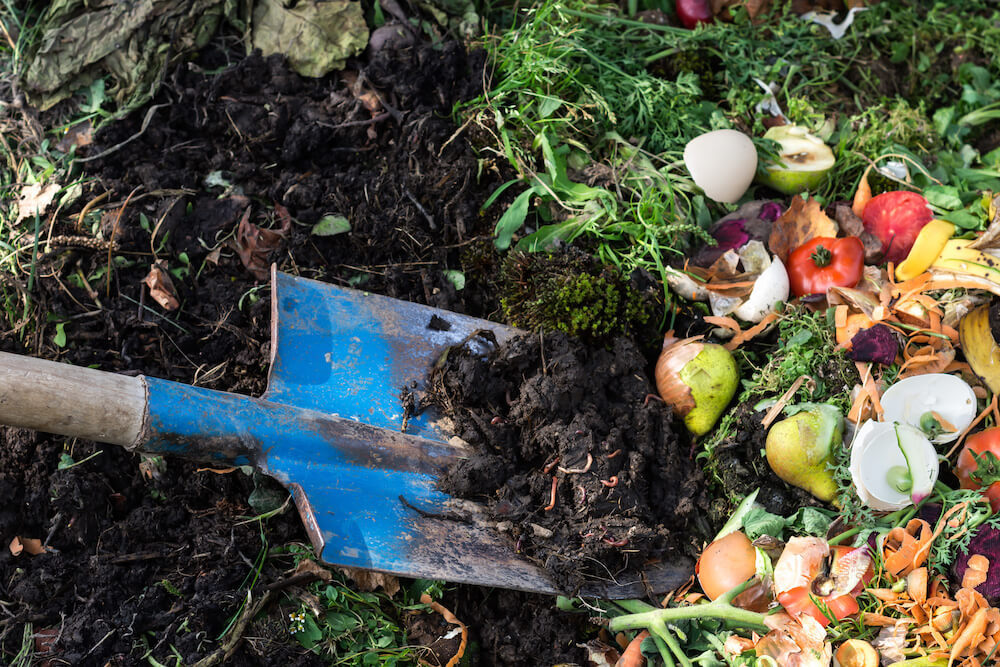 Guide: How To Create A Composting System At Home | The Momentum