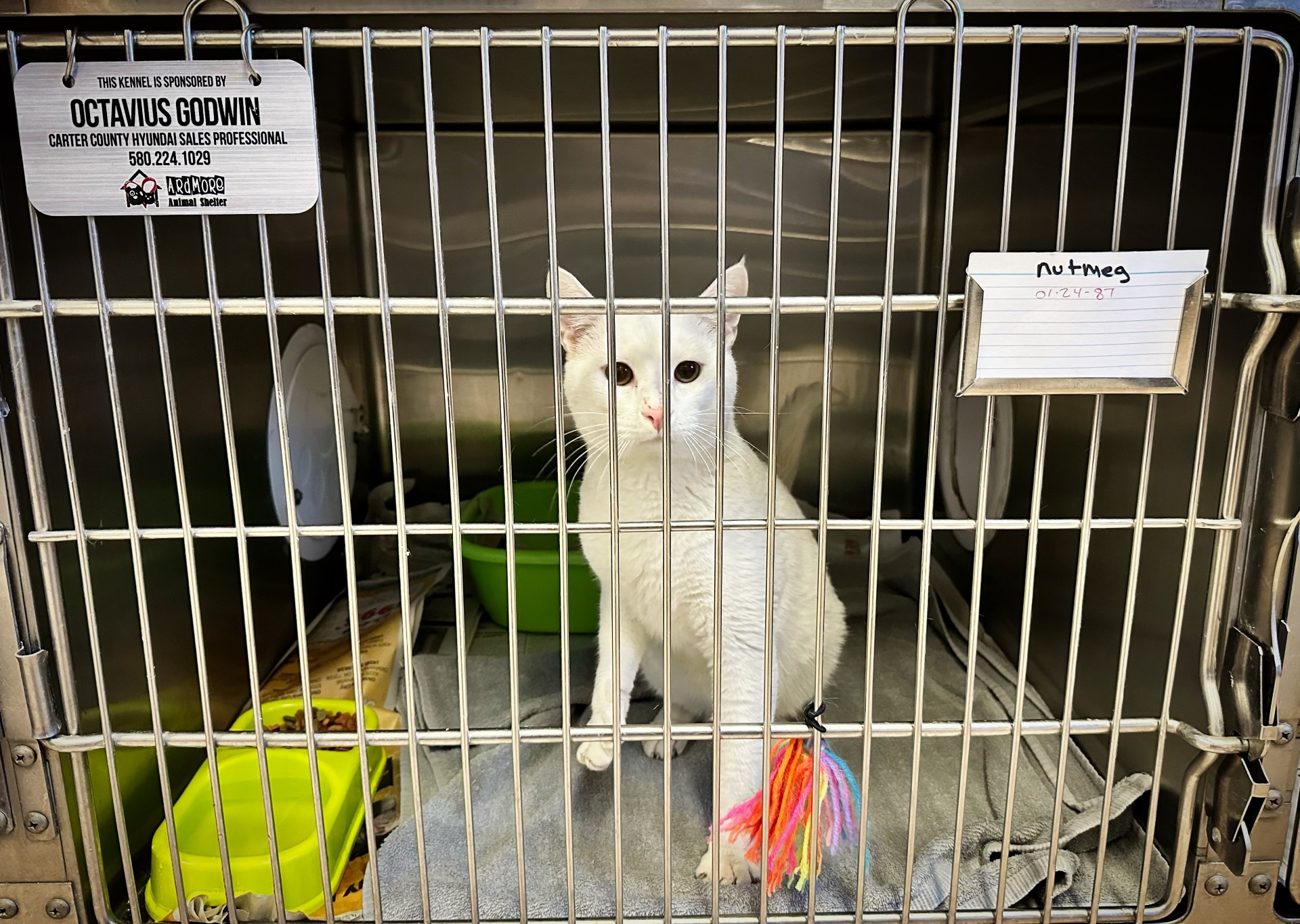 Ardmore Animal Shelter in Ardmore, Oklahoma
