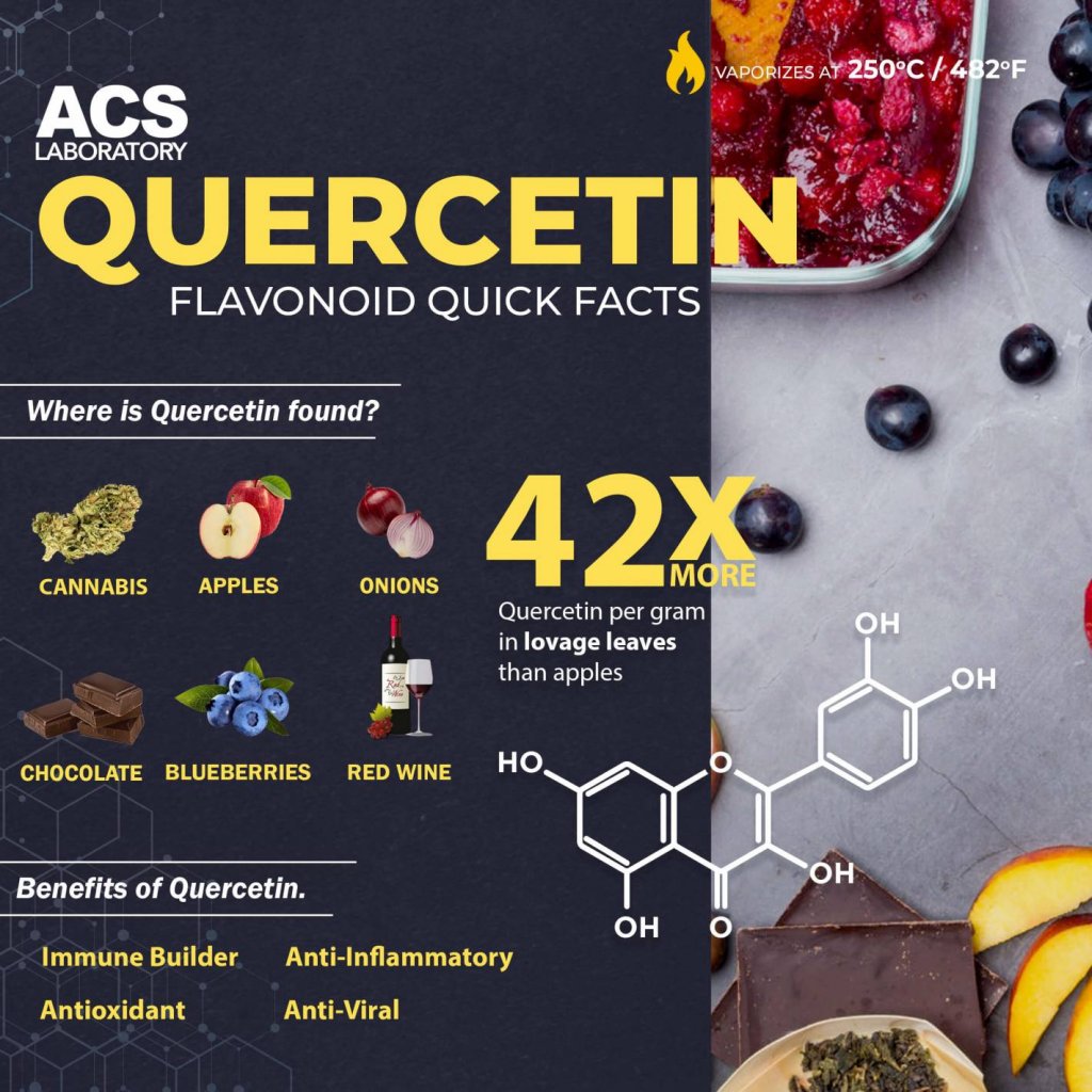 Flavonoid Friday A Guide to Quercetin Health Benefits, Foods, and Effects