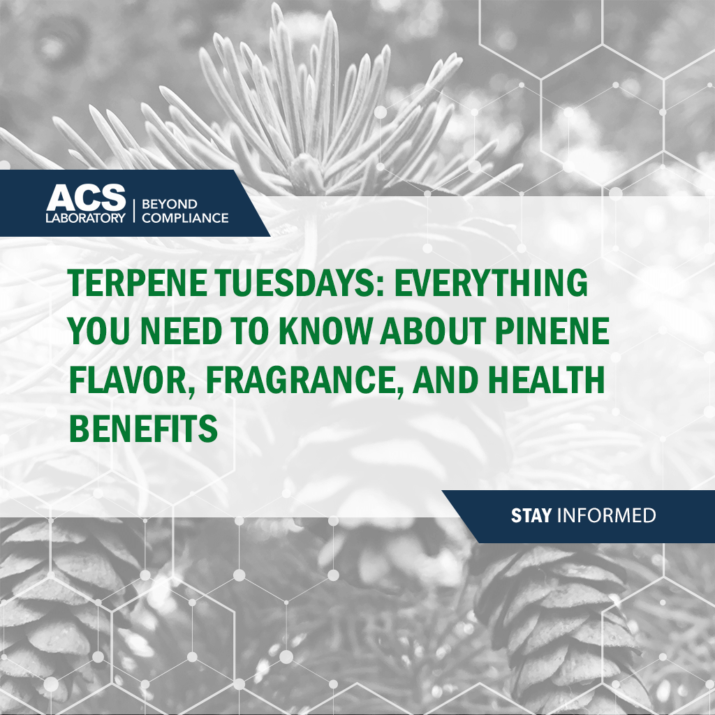 Terpene Tuesdays Everything You Need to Know about Pinene Flavor