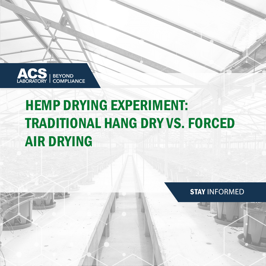 Hemp Drying Experiment Traditional Hang Dry vs. Forced Air Drying