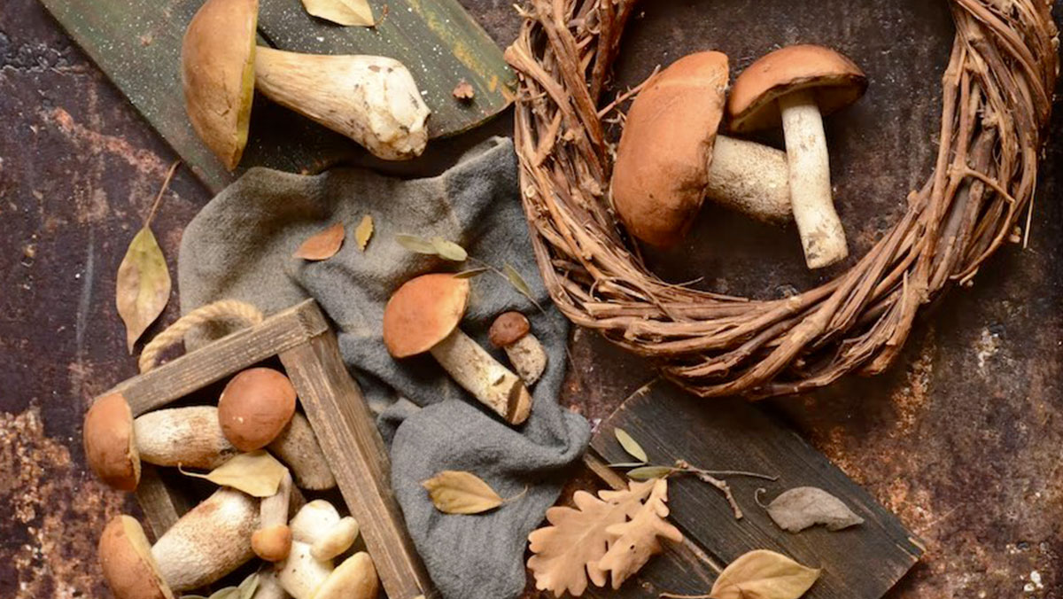 Functional Mushrooms Shiitake, Maitake, and Agaricus Benefits