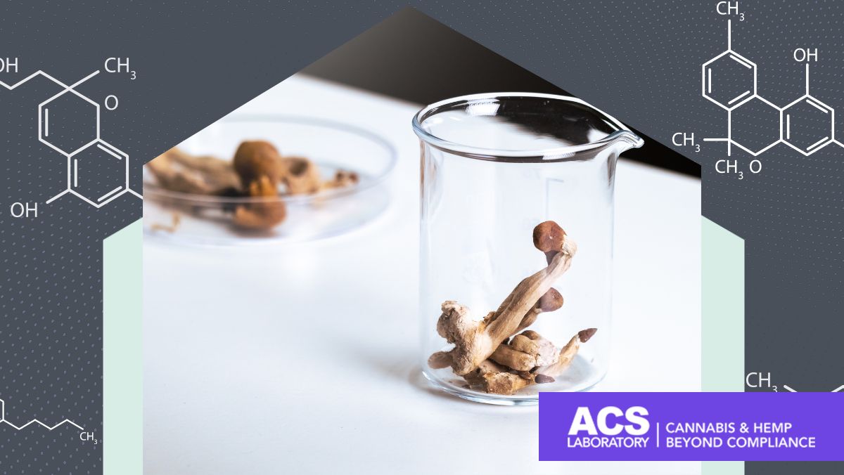 Psychedelic Research Findings Revealed at MAPS Psychedelic Science 2023