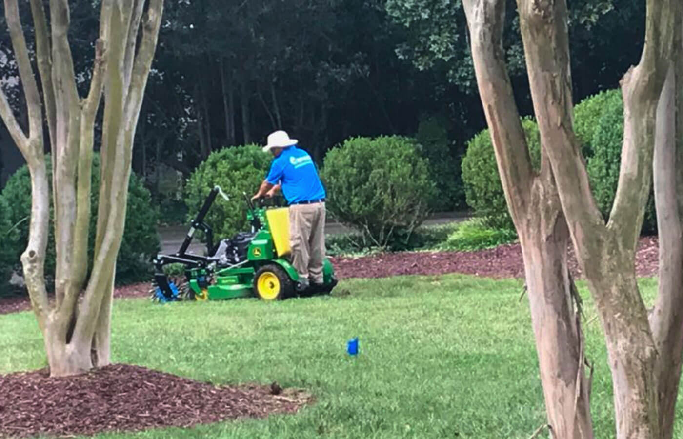 The Canopy Core Aeration Experience Canopy Lawn Care