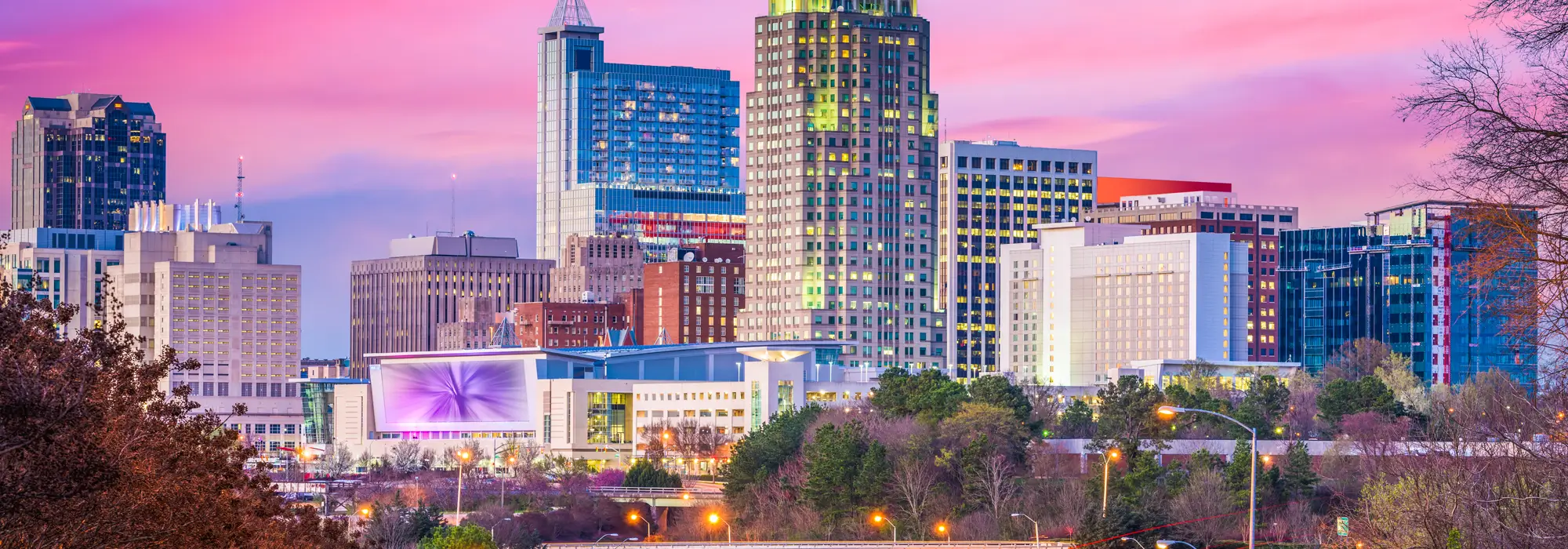 Canopy Lawn Care of Raleigh Professional Weed Control Lawn Services