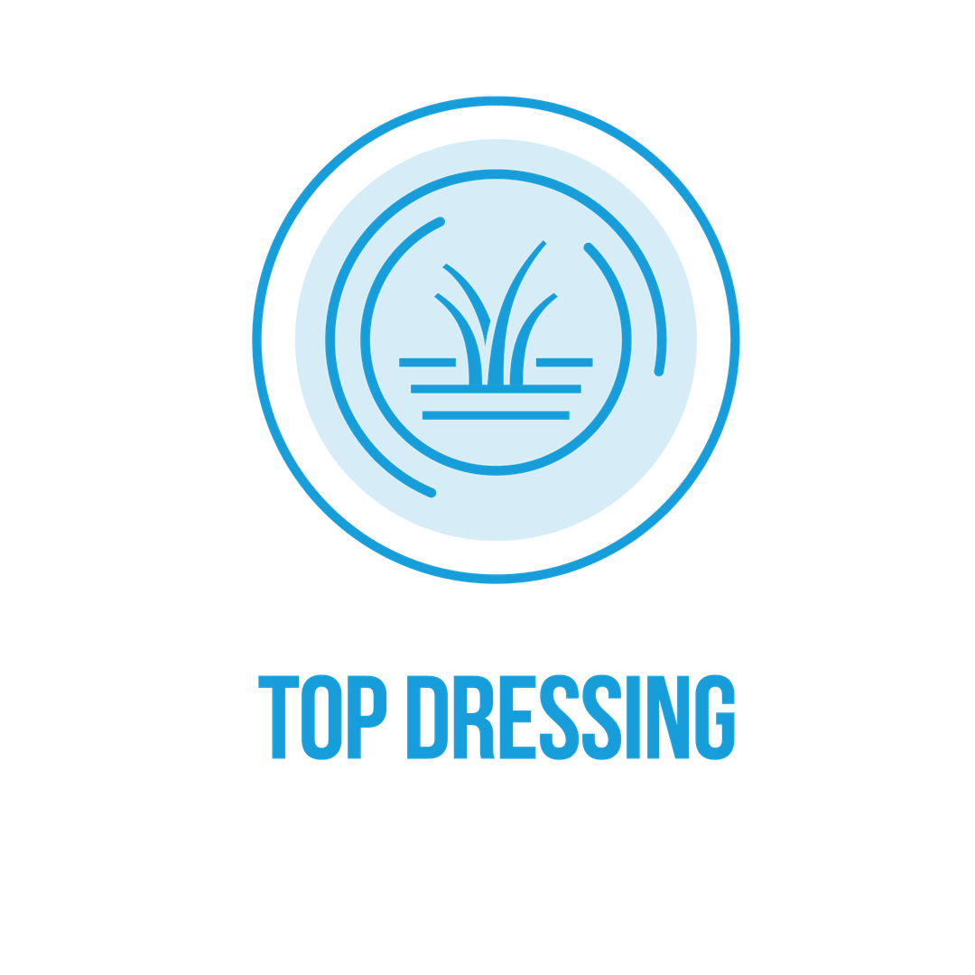 Canopy Lawn Care Expert Lawn Treatments & Services