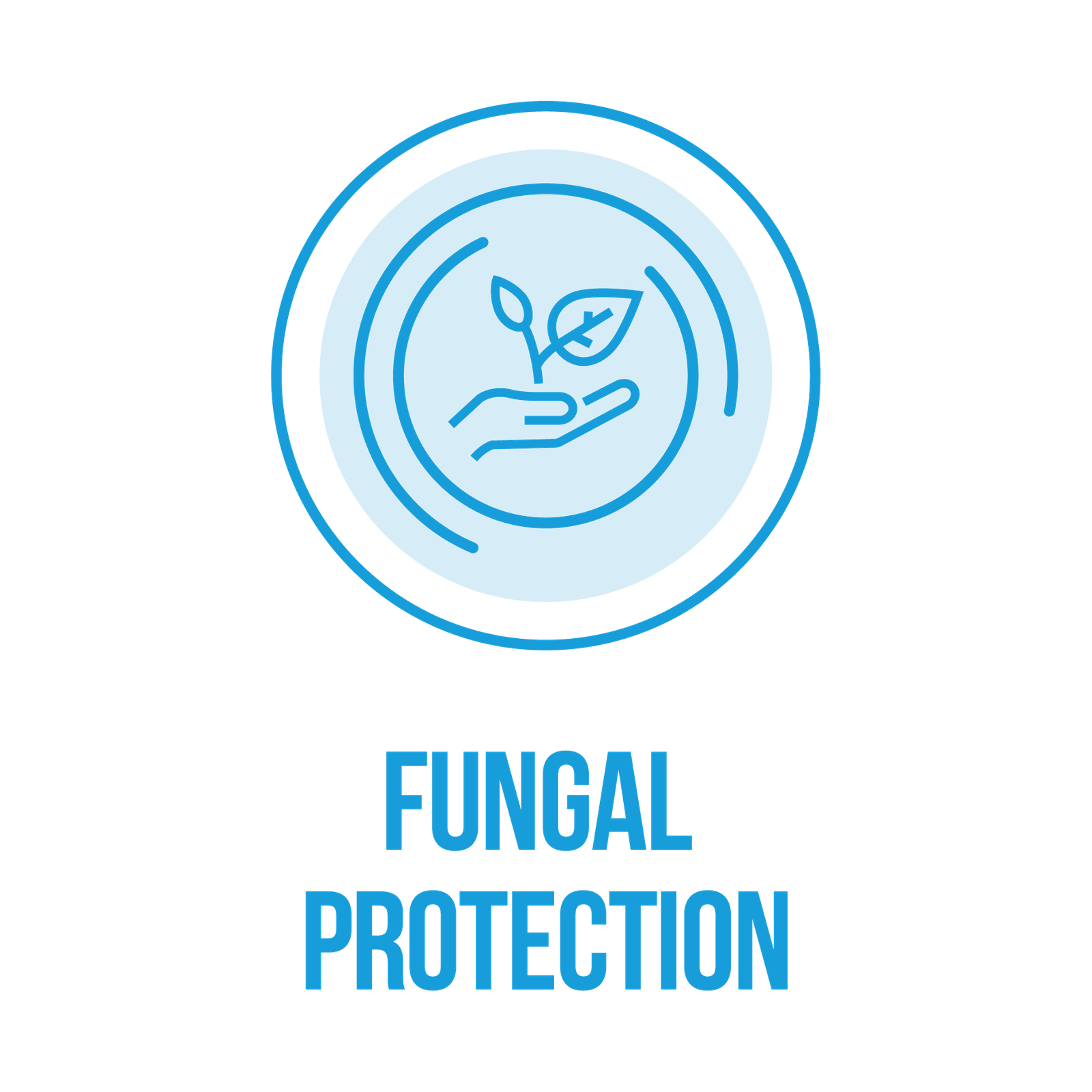 Canopy Lawn Care Expert Lawn Treatments & Services