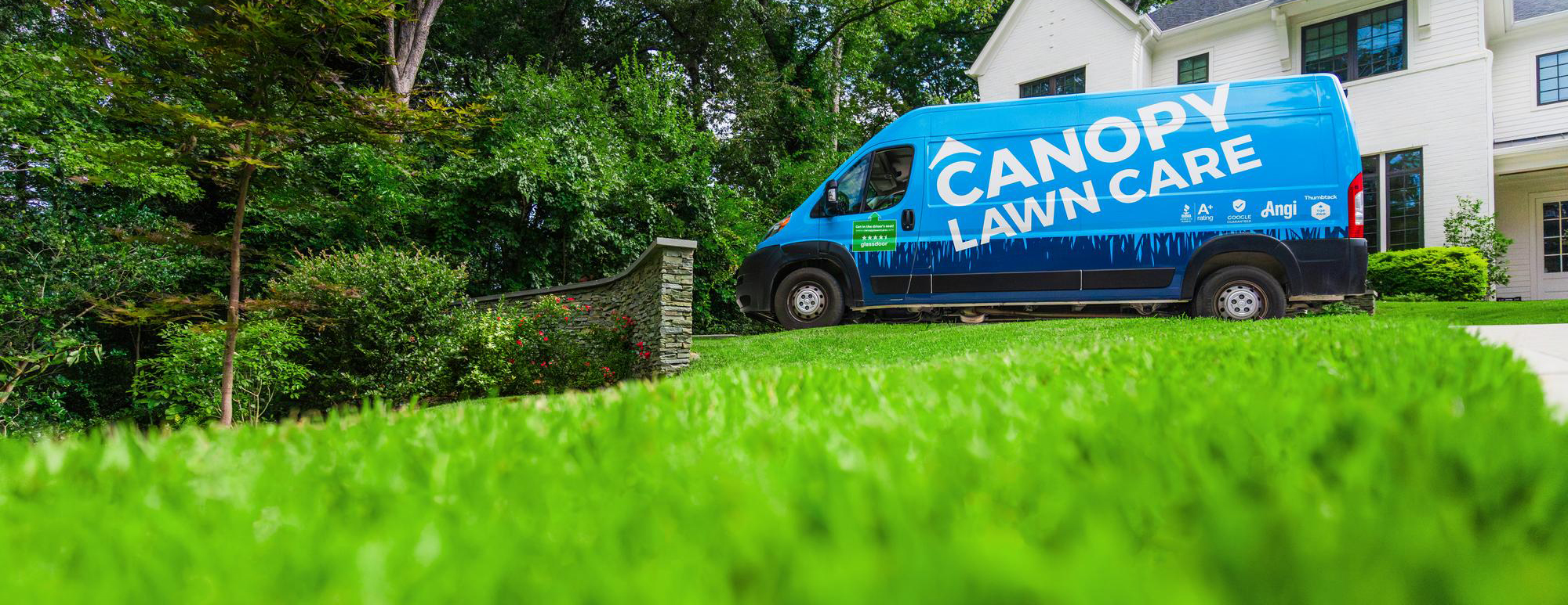 Canopy Lawn Care of Central New Jersey Professional Weed Control Lawn