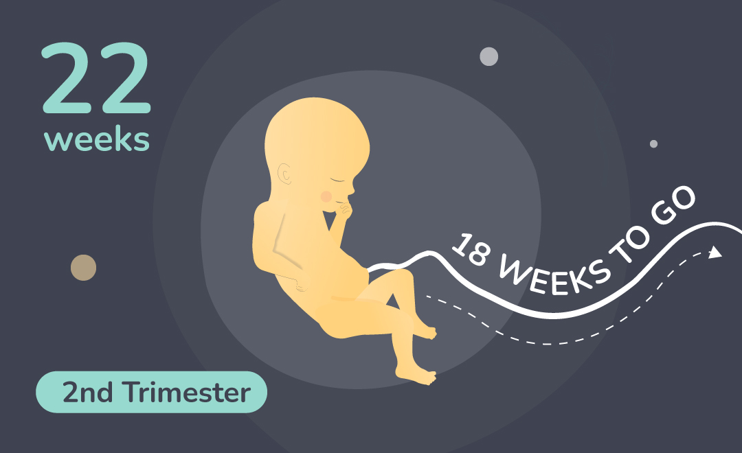 22 Weeks Pregnant Garbh Sanskar, Symptoms and Tips