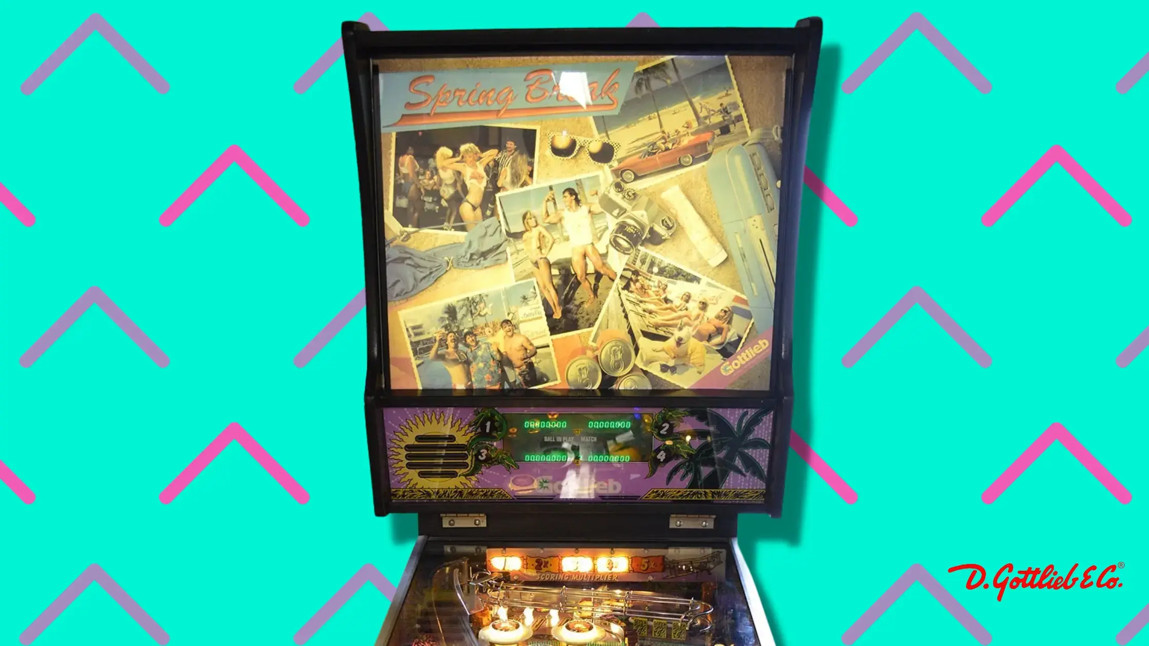 Spring Break (1987) Pinball Machine by D. Gottlieb & Co.