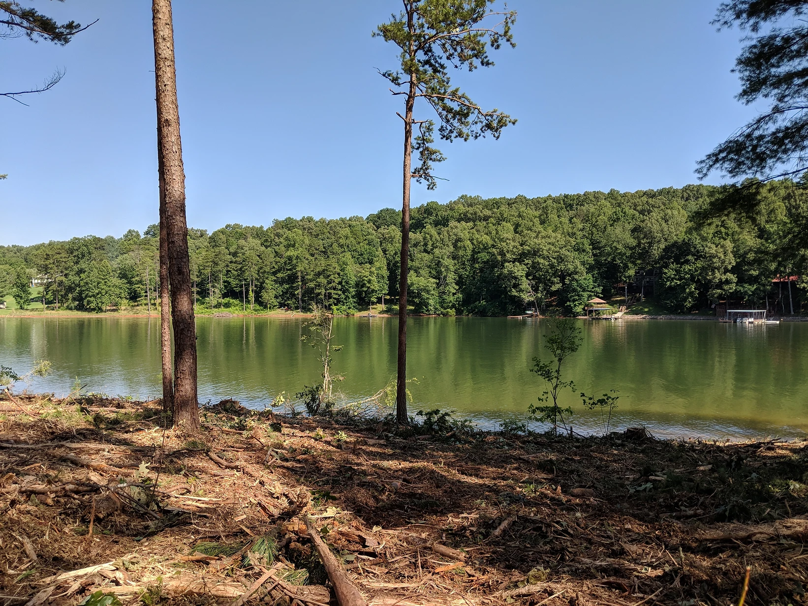 The Grove on Lake Nottely Affordable Lakefront Living