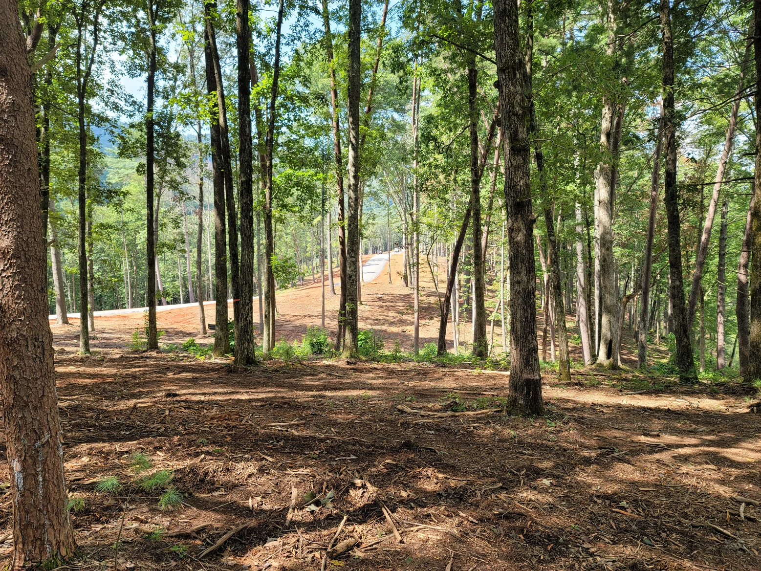 Yonah Mountain Lake Affordable Lakefront Living