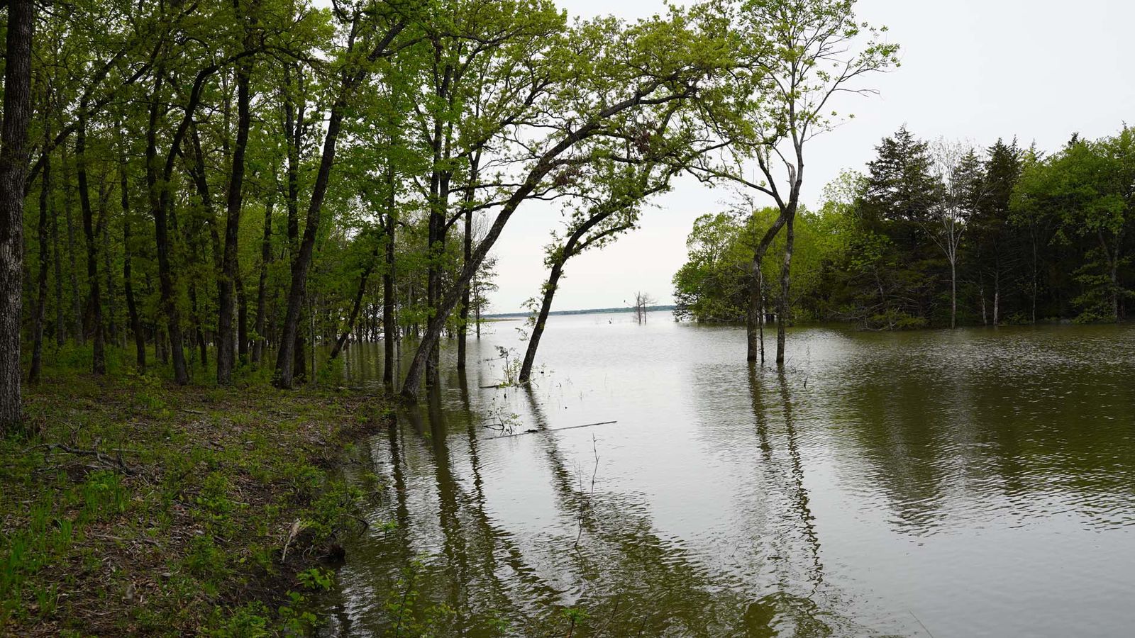 The Peninsula at Bois D'Arc Lake The Newest Lake in Texas...