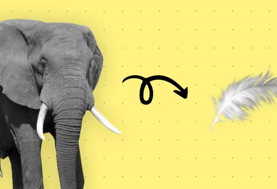 Visual of the article