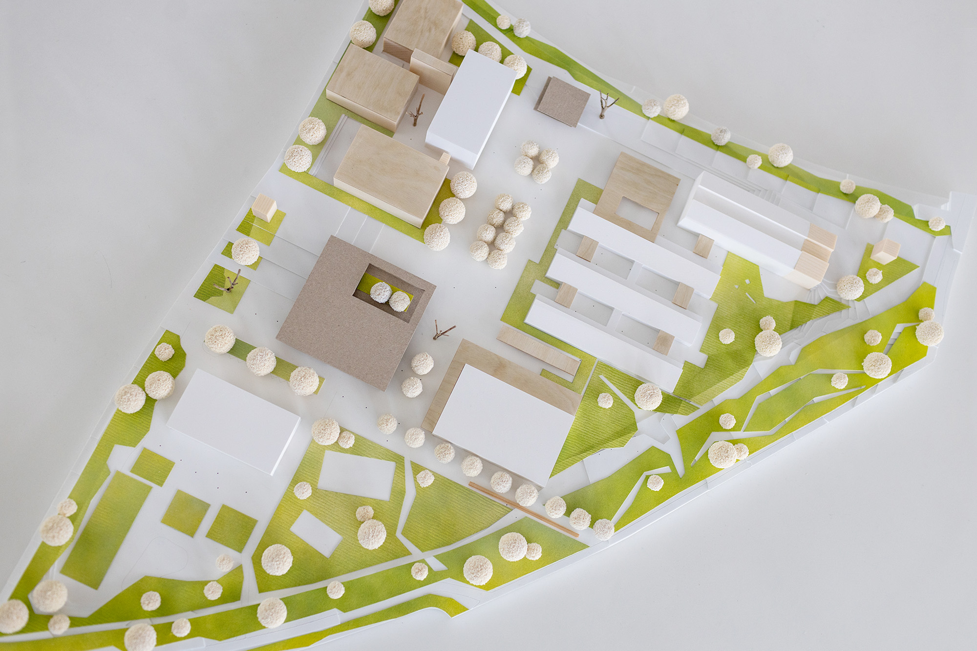 School Campus WillyHellpachSchool in Heidelberg